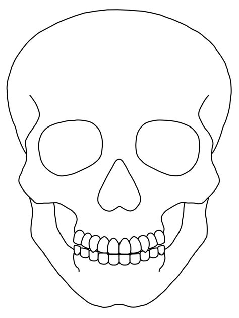 Skull Outline Template
